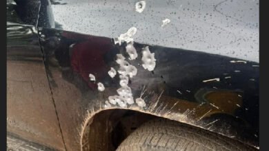 'A gun from her car was firing' - Eyewitnesses give accounts of Kwabenya incident involving Adwoa Safo