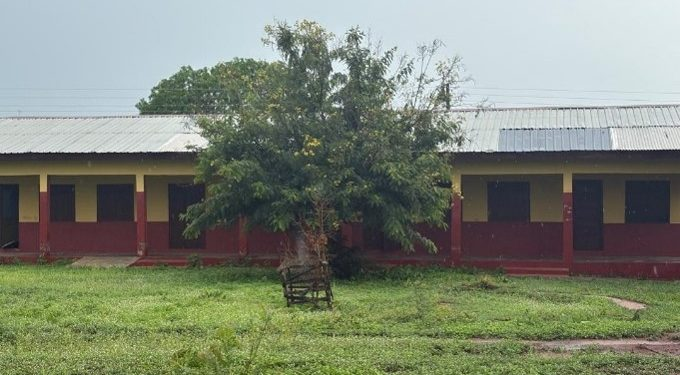 Bats take over school building as teacher shortage hits Afram Plains