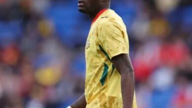Black Stars urged to stand by Thomas Partey amid England handshake debate
