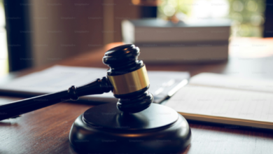 Court remands alleged car robber