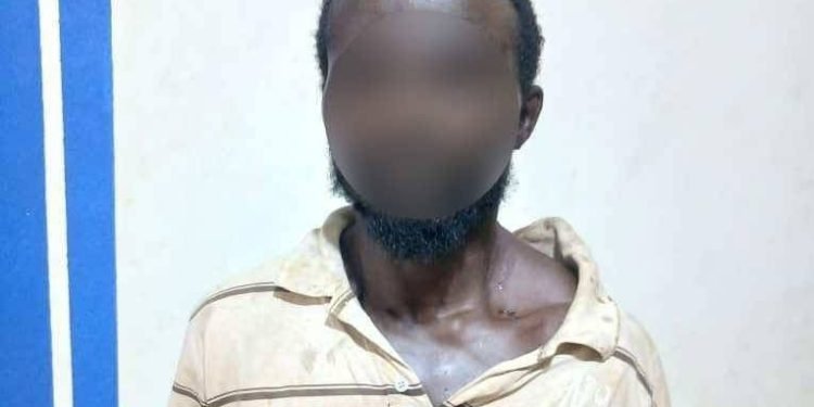 Ex-convict arrested over alleged rape and murder of 17-year-old girl