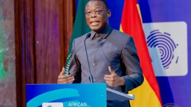 Fifi Kwetey warns NDC members against 'Akufo-Addo syndrome'