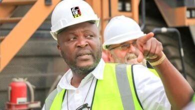 Ibrahim Mahama offers 100 jobs to South Africa returnees – Ablakwa