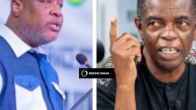 'Is the president your enemy?' – Kwesi Pratt clashes with Sefa Kayi over Mahama