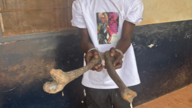 Man, 22, arrested with skeletal parts at Sefwi Atronsu