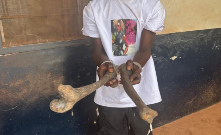 Man, 22, arrested with skeletal parts at Sefwi Atronsu