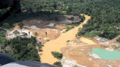Minority welcomes Presbyterian Church’s anti-galamsey campaign