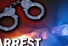Woman arrested over alleged sale of fruit-ripening chemicals