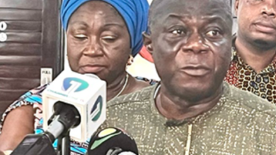 NPP demands enforcement of Sedina Attionu’s conviction