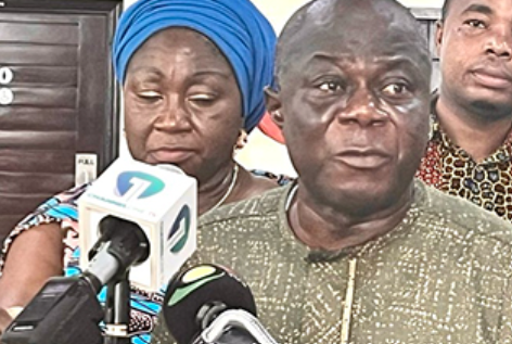 NPP demands enforcement of Sedina Attionu’s conviction