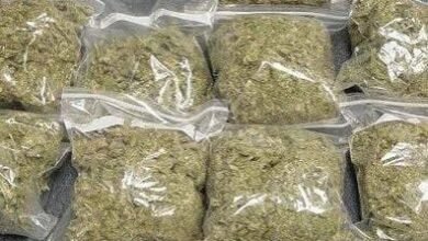 Prisons officer interdicted for attempting to smuggle Indian hemp into Kete-Krachi facility