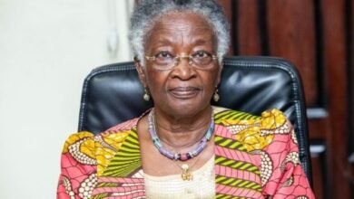 Reports of Mahama third-term meeting untrue – NDC Council of Elders