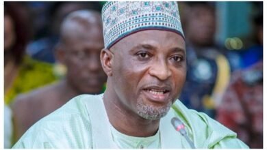 Seized excavators to be used for nationwide desilting exercise – Interior Minister
