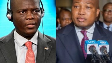 The 5 lies SA International Relations Minister has accused Ablakwa of spreading