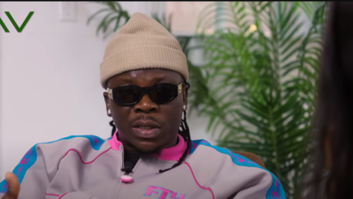 Stonebwoy is such a wonderful musician – Amandzeba