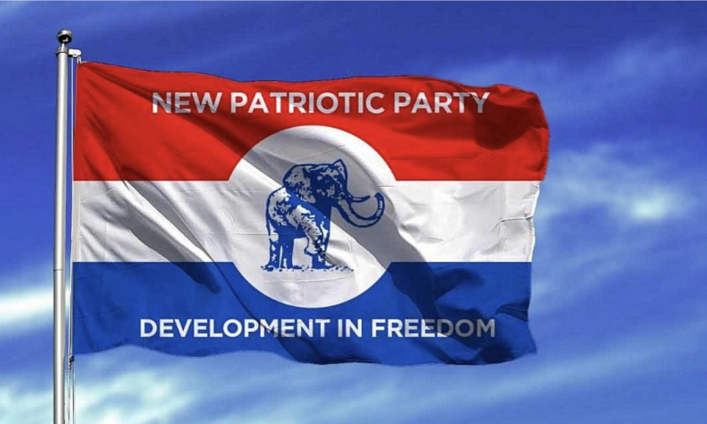 Stop fiddling with anti-flood interventions — NPP slams government