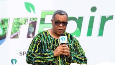 24-hour economy initiative attracts US$11bn in prospective investments — Goosie Tanoh