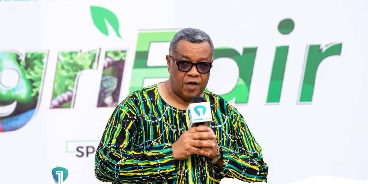 24-hour economy initiative attracts US$11bn in prospective investments — Goosie Tanoh