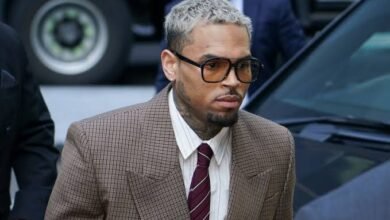 Chris Brown ordered to pay housekeeper $13m after dog attack
