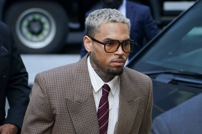 Chris Brown ordered to pay housekeeper $13m after dog attack