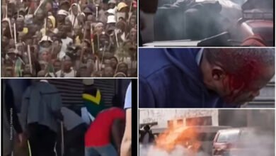 The Beatings, Looting and More: What happened during South Africa's mega anti-immigration protests