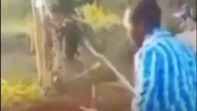 Husband storms the cemetery to beat his dead wife after DNA tests on his six kids