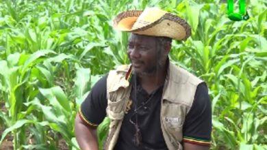 Bernard Mornah details how he used GRA money to 'sort his boys out'