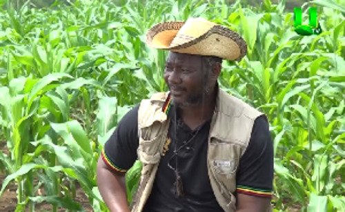 Bernard Mornah details how he used GRA money to 'sort his boys out'