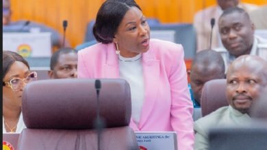 Government rolls out maternal mortality reduction plan