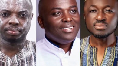 Full List: NPP Announces 2026 Regional Chairmen