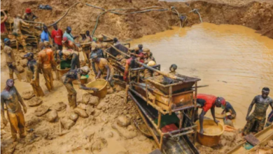 Toxic exposure from galamsey puts elderly at greater risk of kidney damage — Public health expert