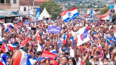 NPP elects regional executives today