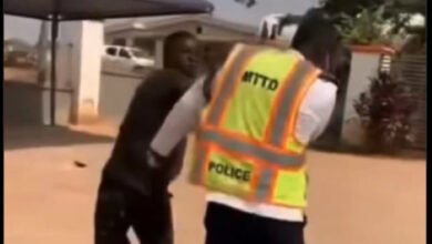 Video: Driver slaps police officer during dispute