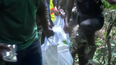 Enough is enough – GIF demands immediate justice for slain forest guards